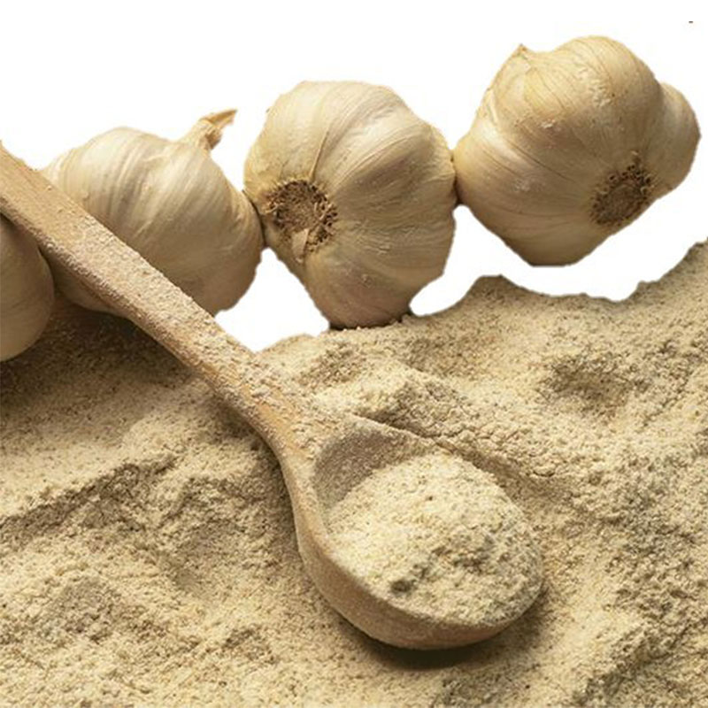 پودر سیر