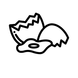 سفیده تخم مرغ